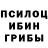Галлюциногенные грибы прущие грибы SWOBODU ADEKWATNIM