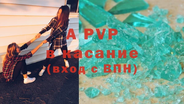 индика Абинск