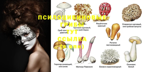 mix Абаза