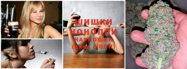 дмт Протвино